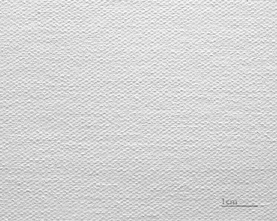 Canvas Leonardo (satin)