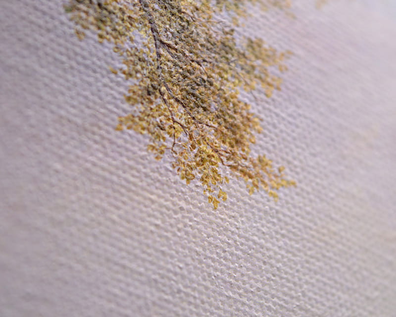 Canvas Leonardo (satin) (Canvas Venezia)  31