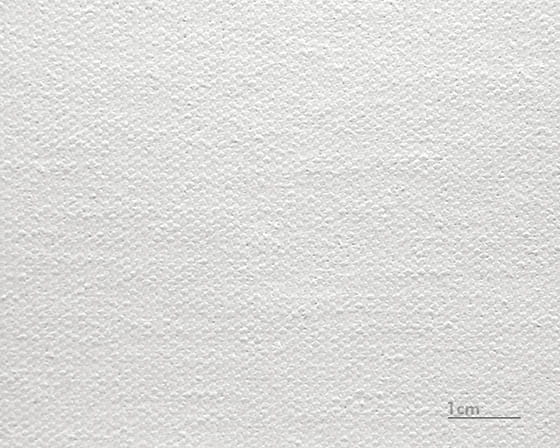 Canvas Raphael (matte)