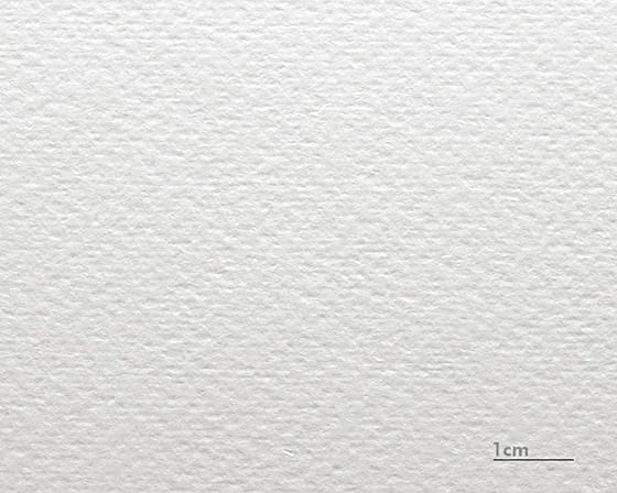 Watercolor Cardboard Renoir