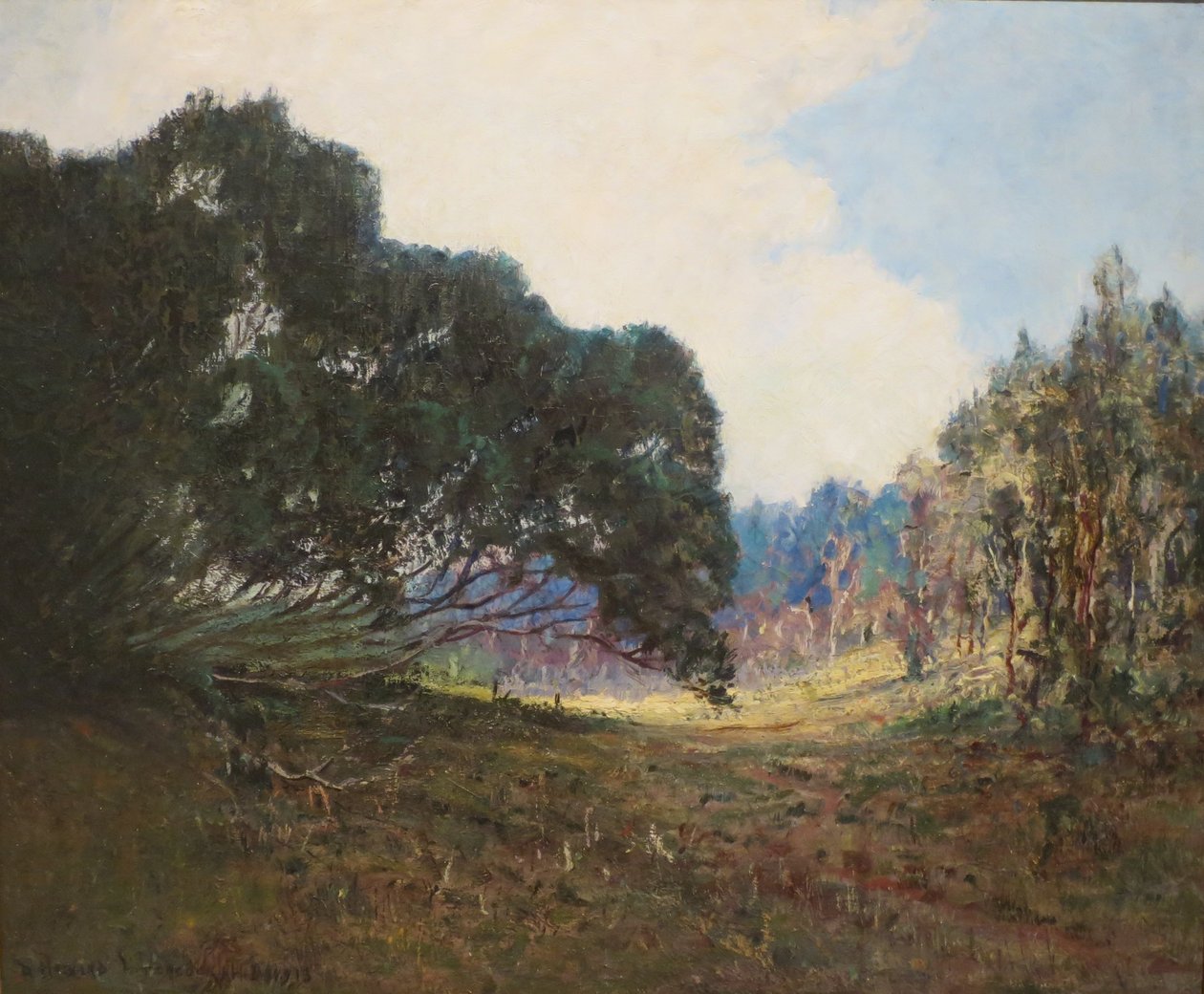 Unknown Image by D. Howard Hitchcock