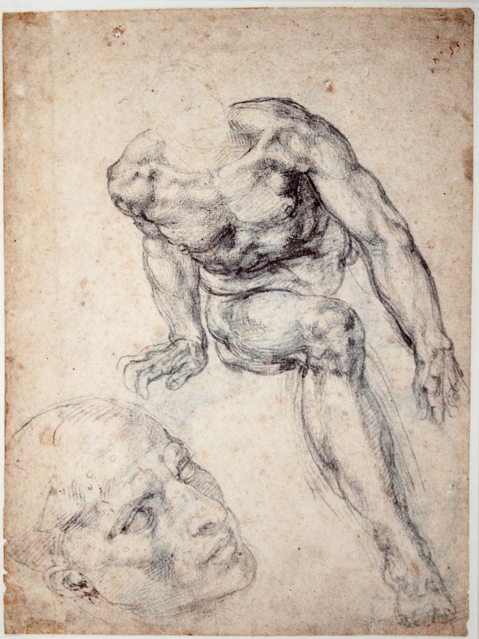 Study of a Male Nude, Separate Study of His Head by Michelangelo Buonarroti