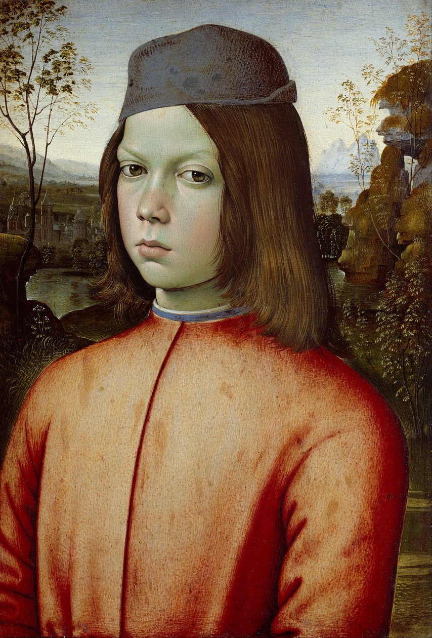 Portrait of a Boy by   Pinturicchio