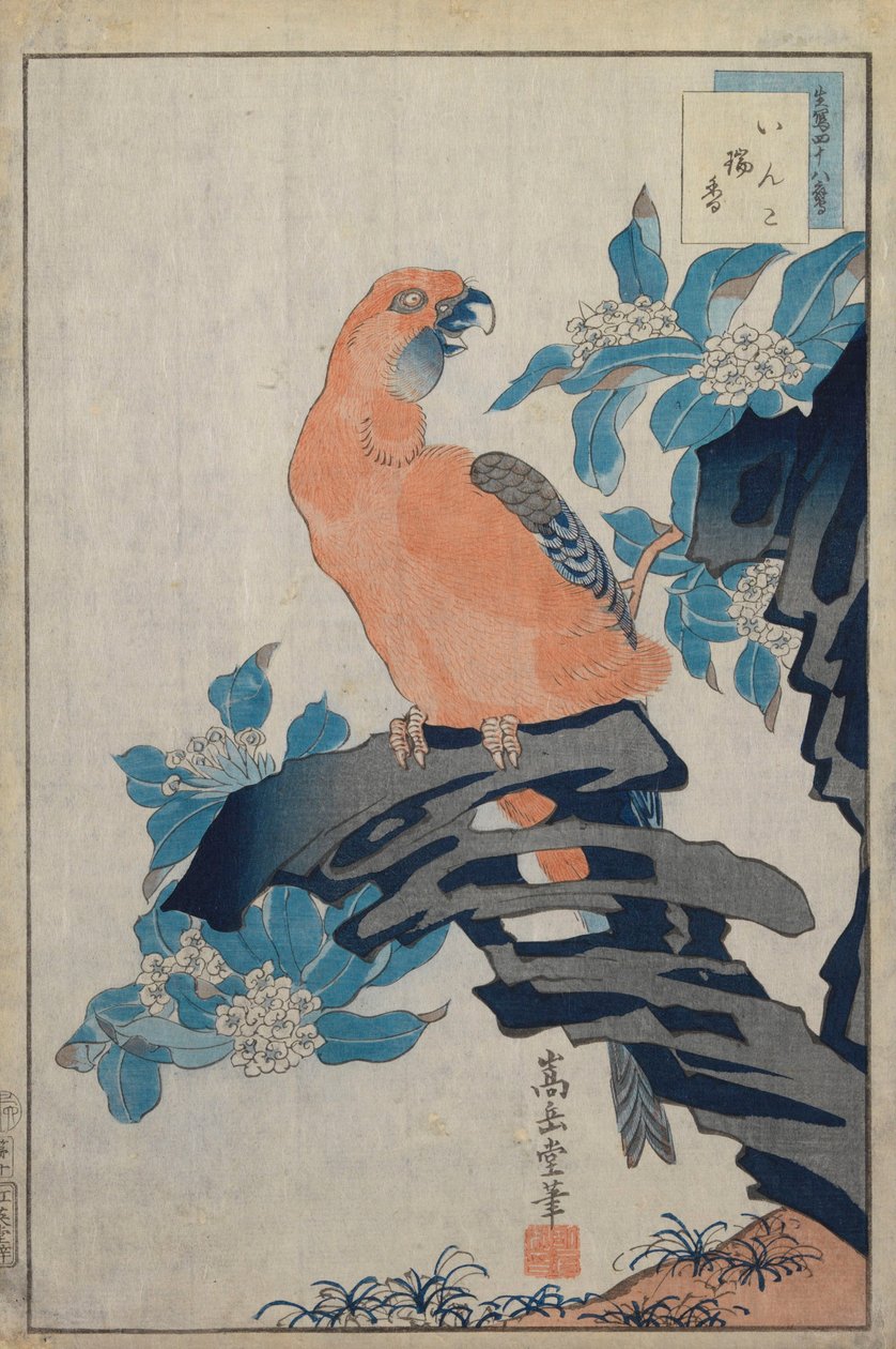 Untitled by Nakayama Sugakudo