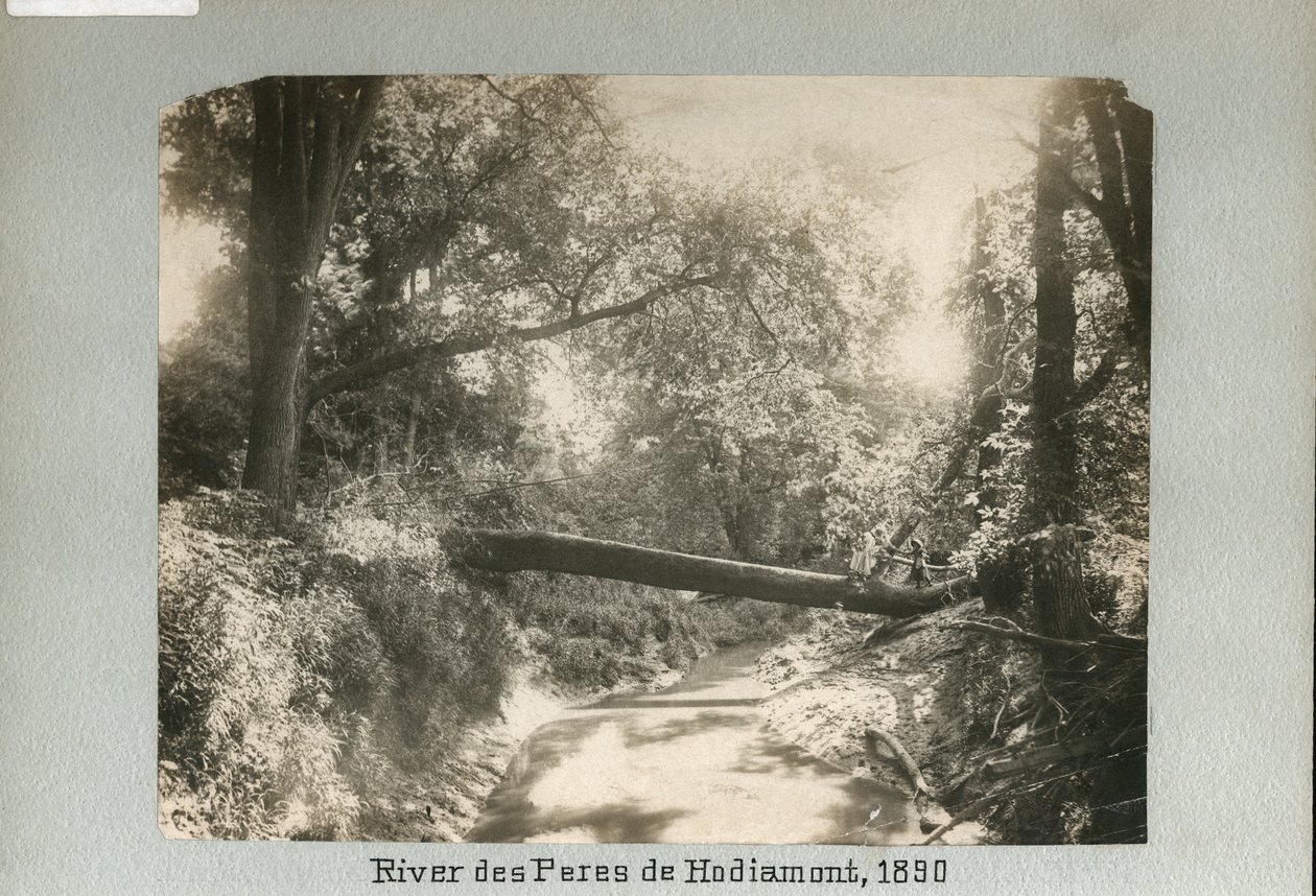 Two Children Walking Over a Fallen Tree Spanning a Small River in the Woods by Unknown