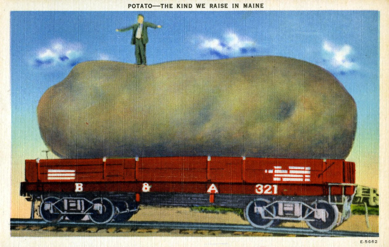 Vintage exaggeration postcard c.1940 by Unknown