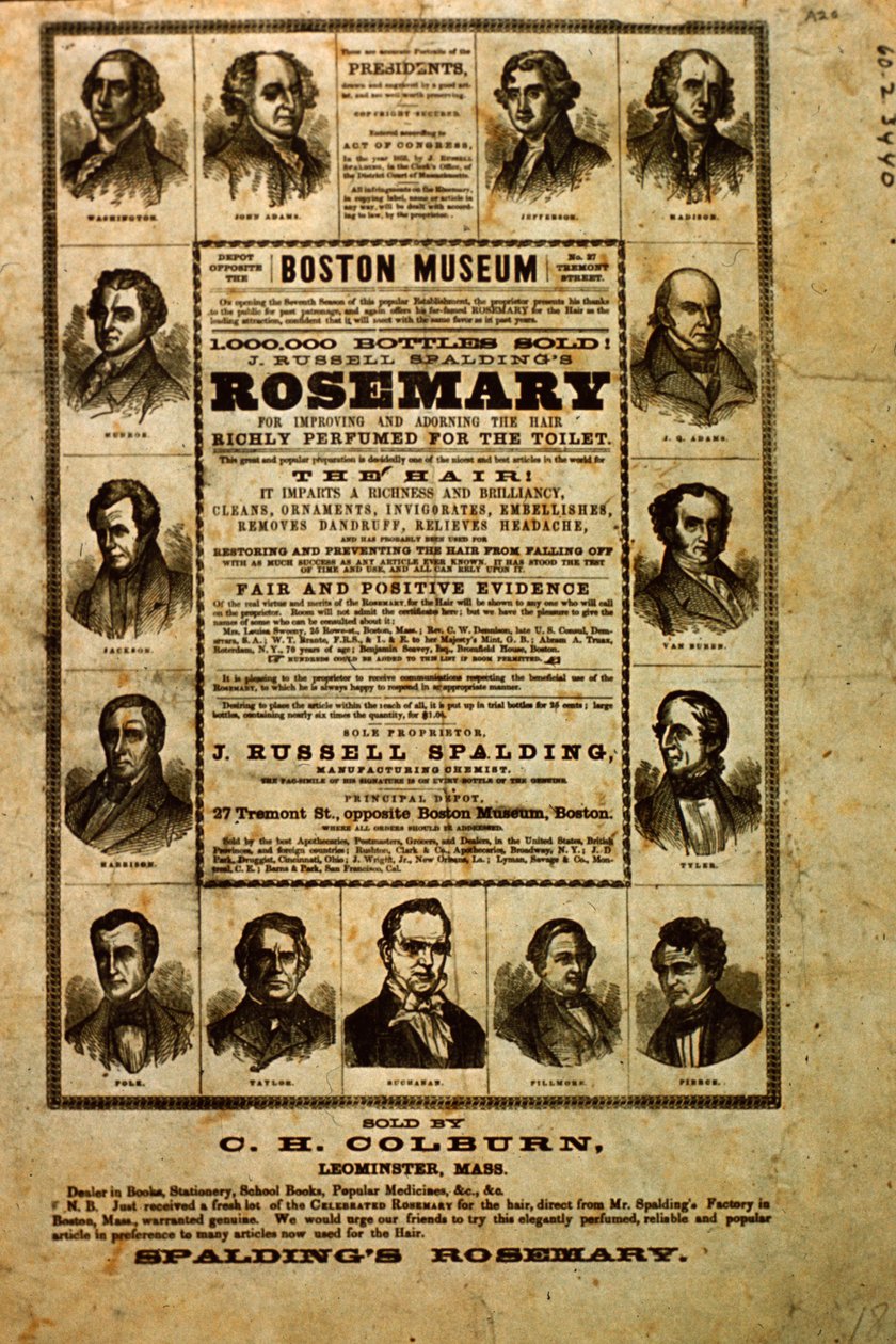 Advert for Spaldings Rosemary by American School