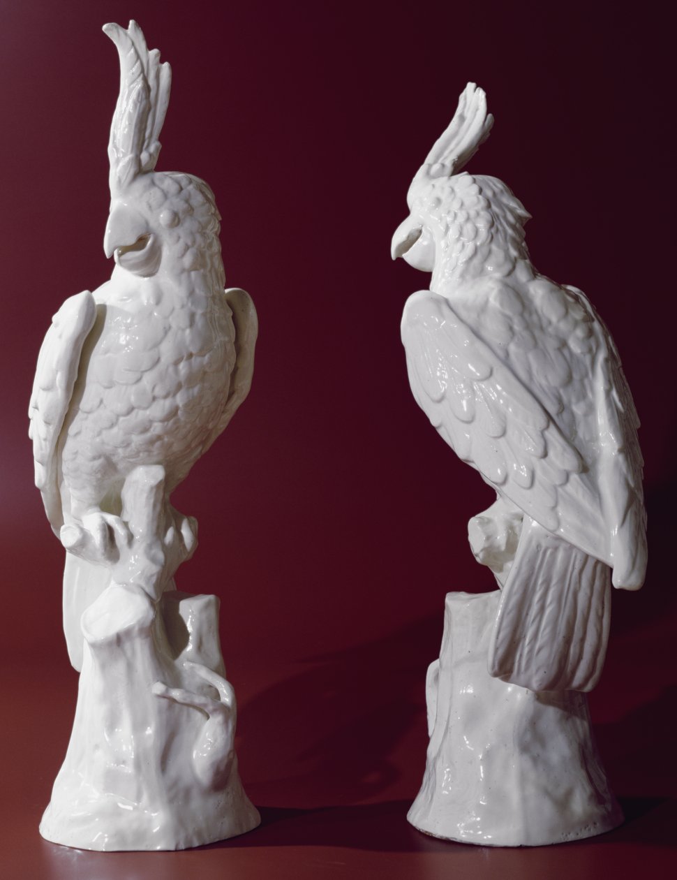 Pair of parrots by English School