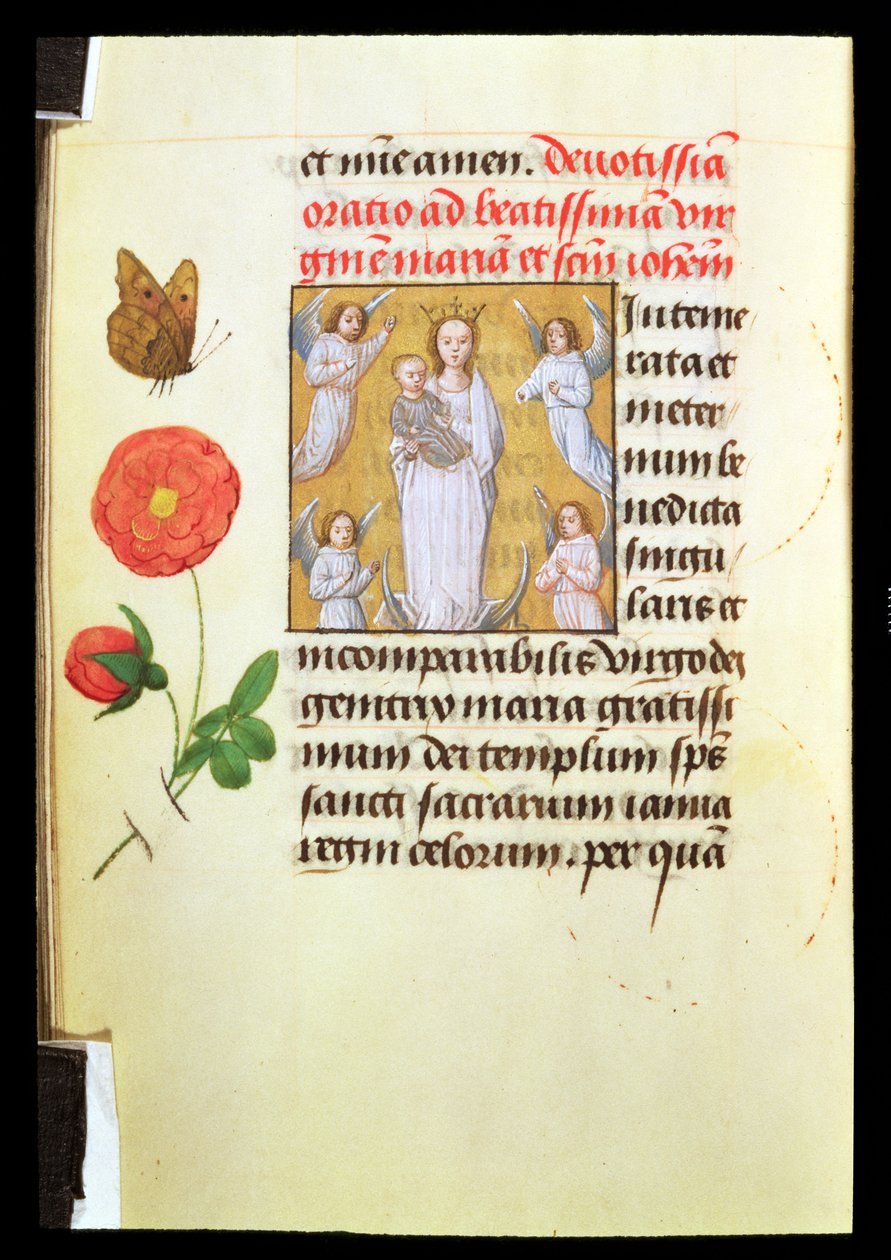 Standing Virgin and Child, Adored by Angels, c.1515-20 by Flemish School