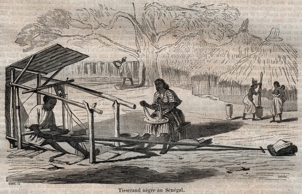 Senegalese black weaver by French School