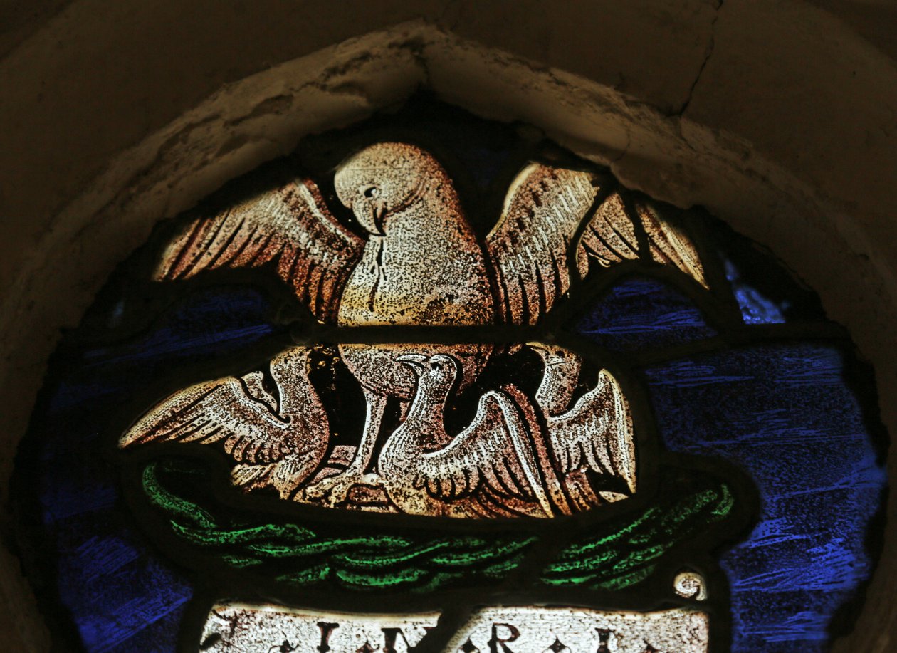 Window depicting the Pelican in her Piety by French School