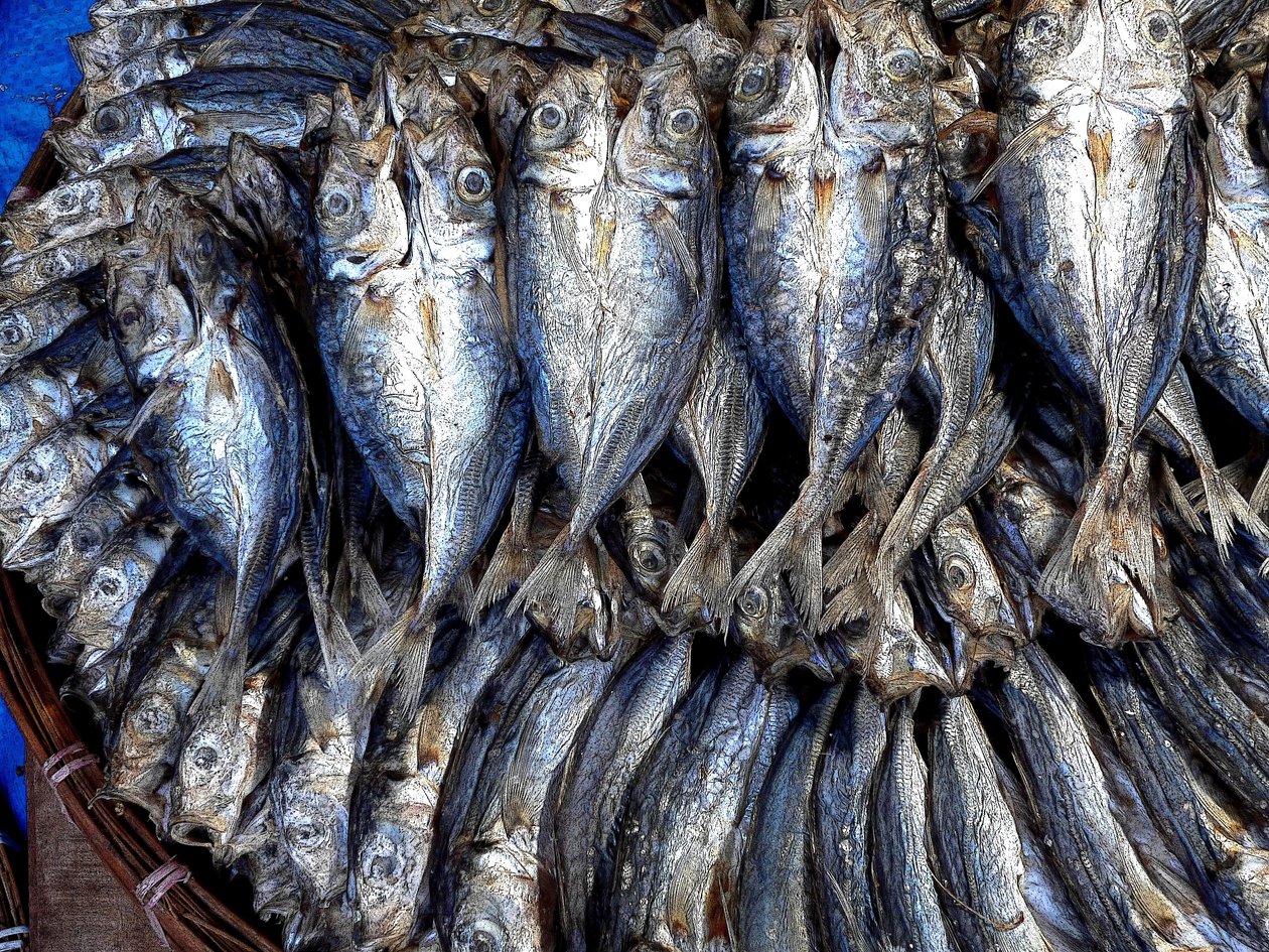 Dried Fish by Detlef B. Fischer