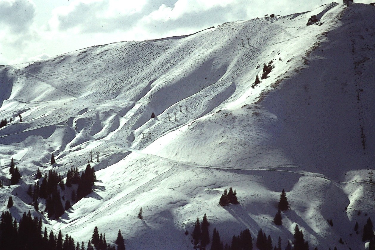 Snowy Slope by Detlef B. Fischer