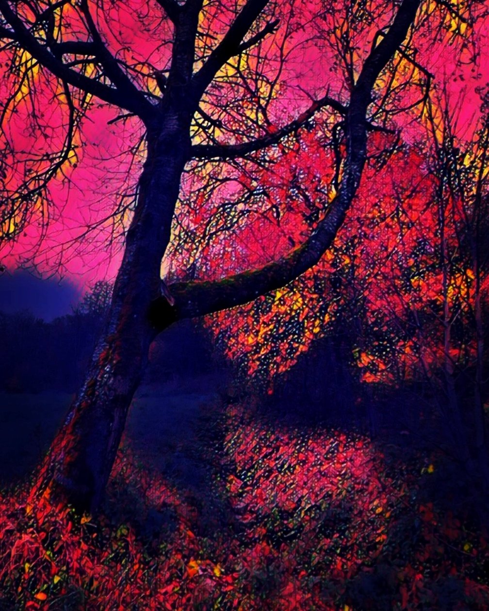 Twilight by Margareta Uliarte