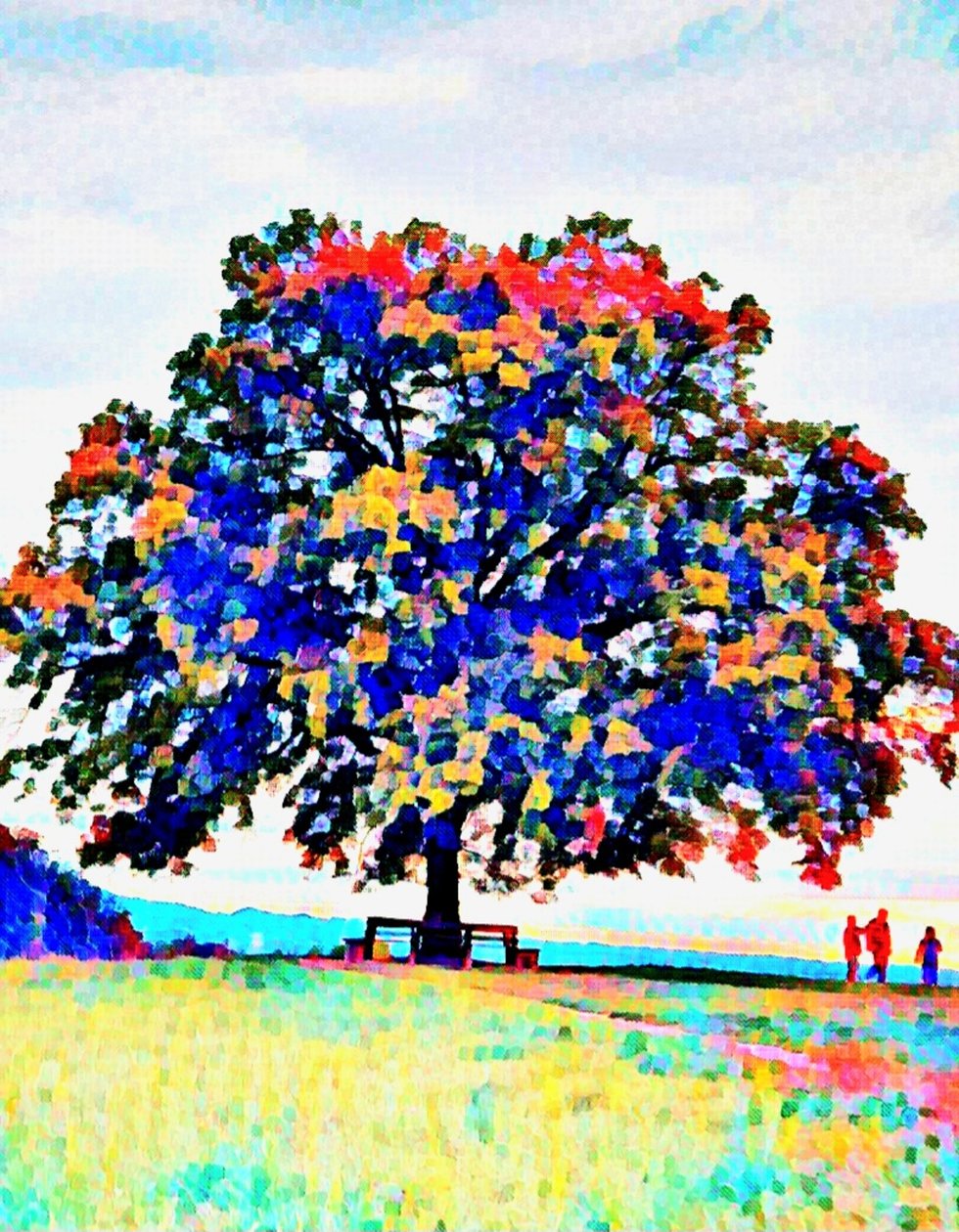 The Holy Tree. Maria Plain. by Margareta Uliarte