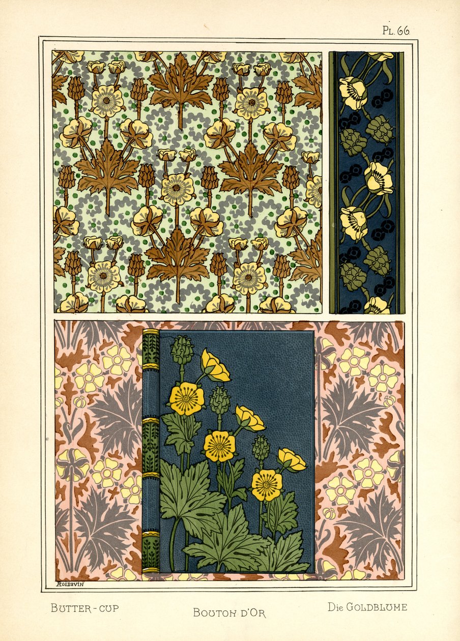 The Buttercup by A. Poidevin