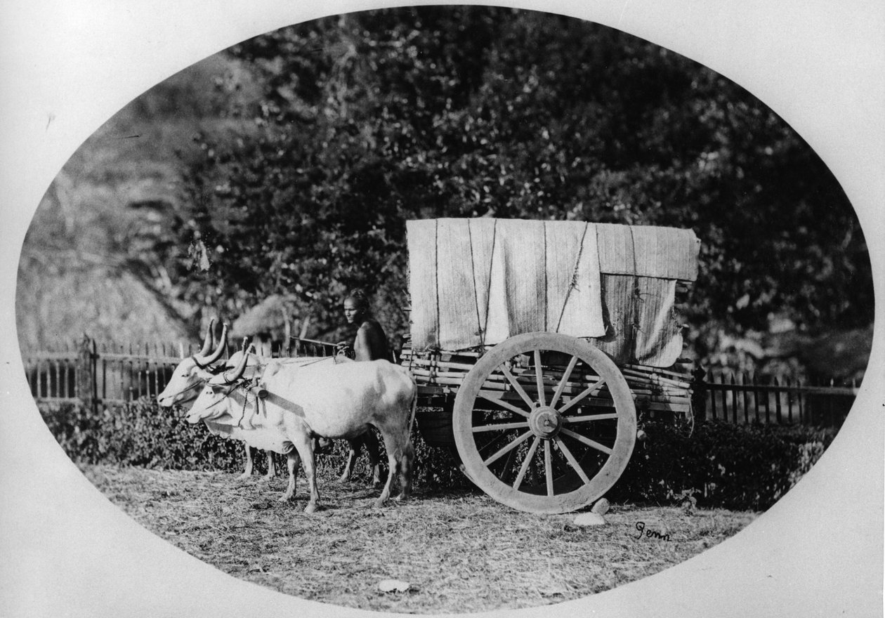 Indian Ox-Cart, c.1886 by A. T. W. Penn