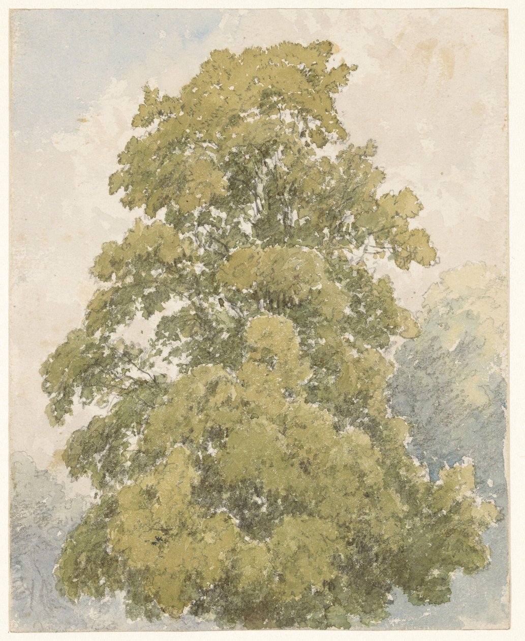Study of an Elm by Aaron Edwin Penley
