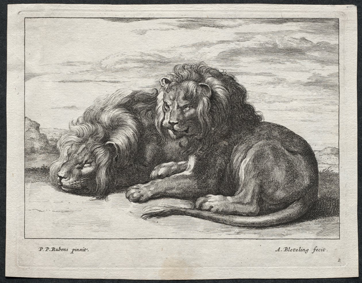 Various Lions by Abraham Blooteling