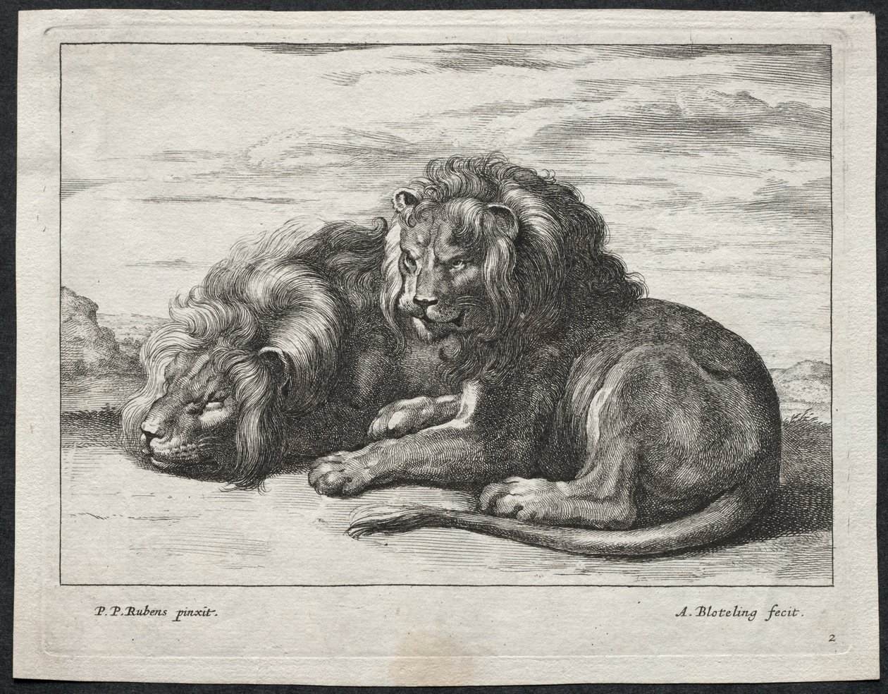 Various Lions by Abraham Blooteling