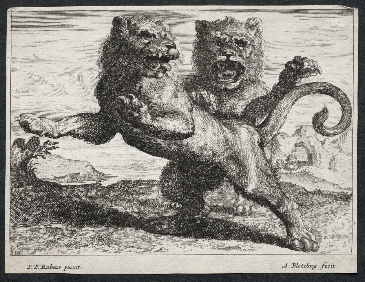 Various Lions by Abraham Blooteling