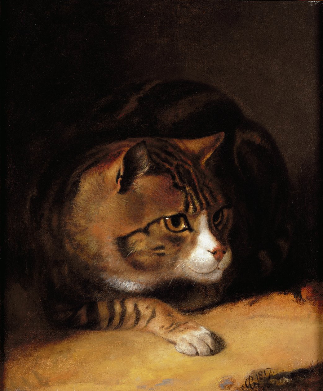 A Tabby Cat by Abraham Cooper