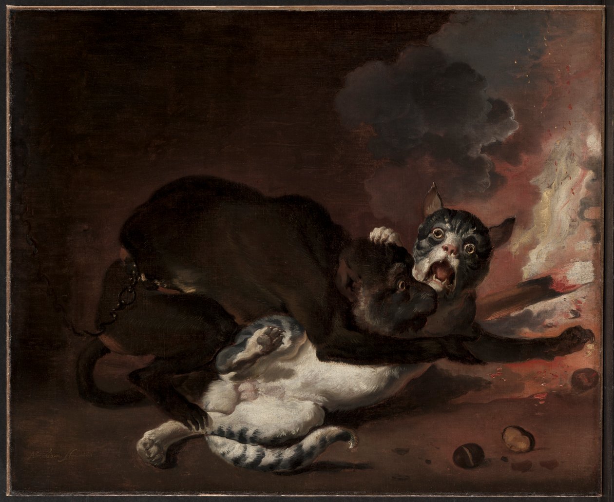 The Monkey and the Cat by Abraham Hondius