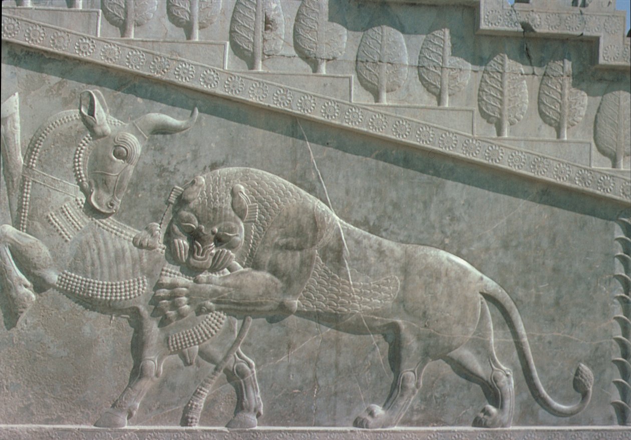 Relief on the East staircase of the Apadana depicting a lion fighting a bull, Achaemenian period by Achaemenid