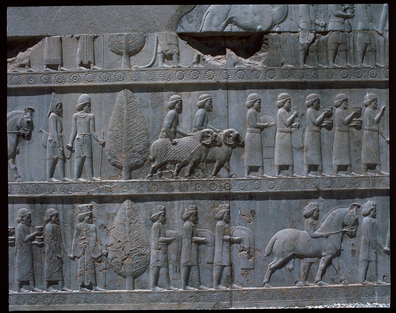 View of the reliefs of eastern stairs by Achaemenid