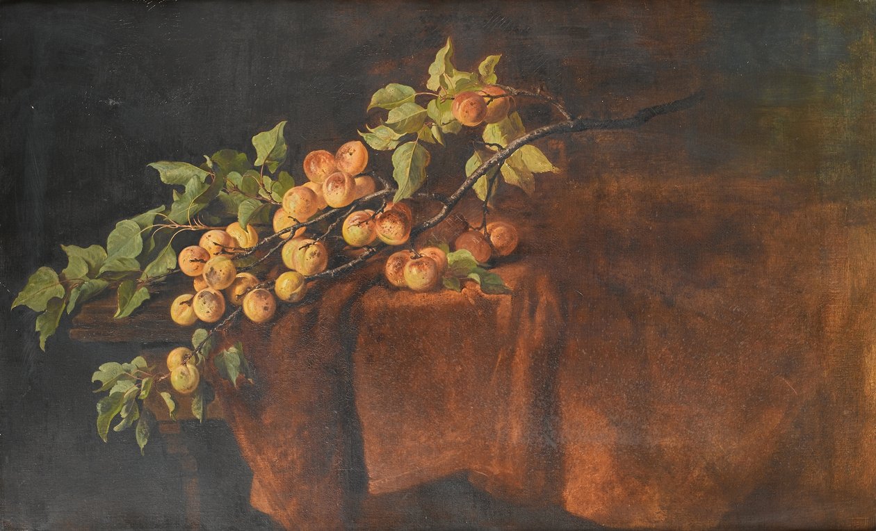Apricot Branch by Adam Ludwig Kunz