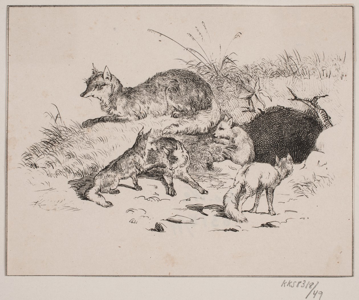 The Fox by Johan Adolph Kittendorff
