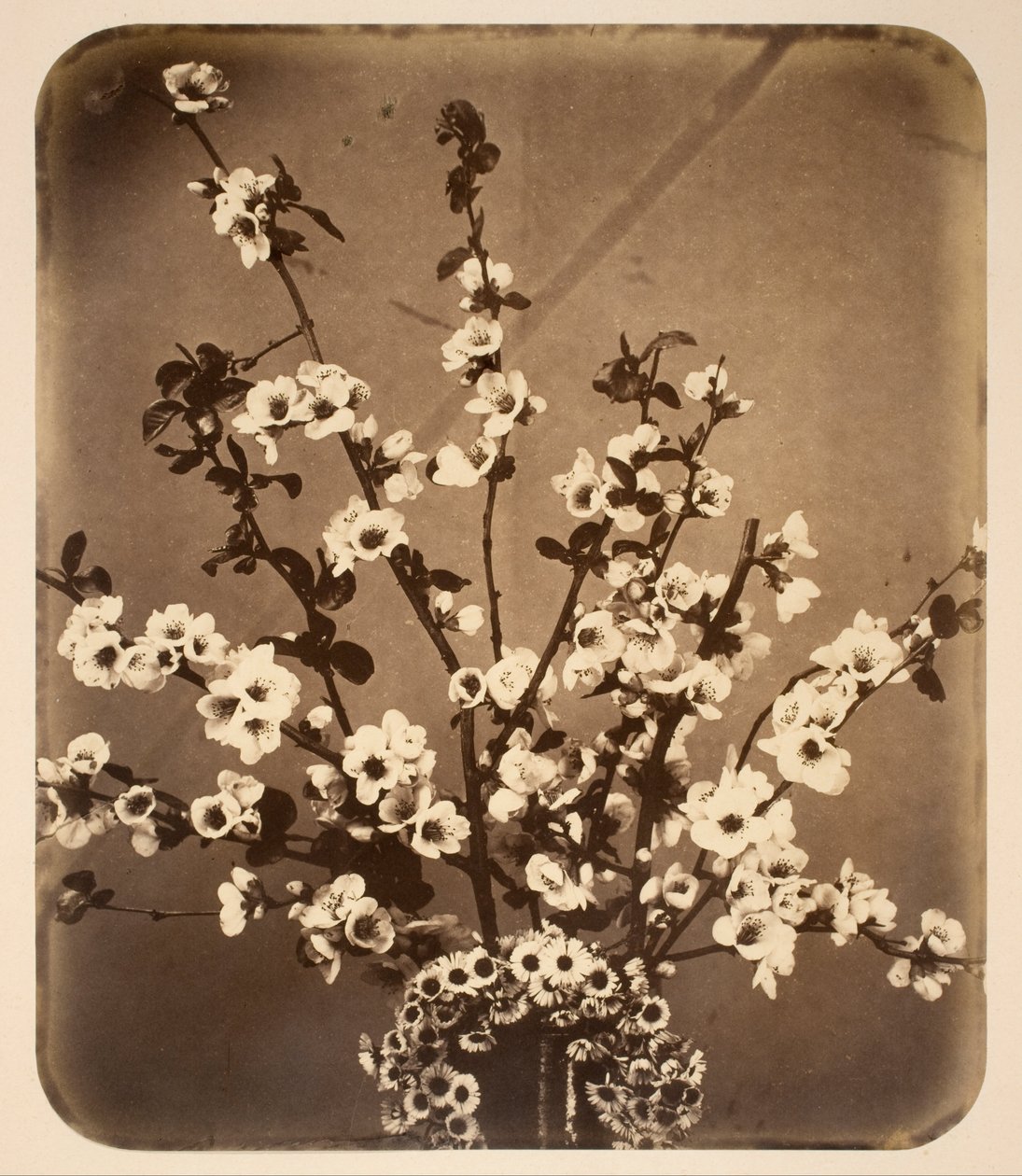 Floral Still Life by Adolphe Braun