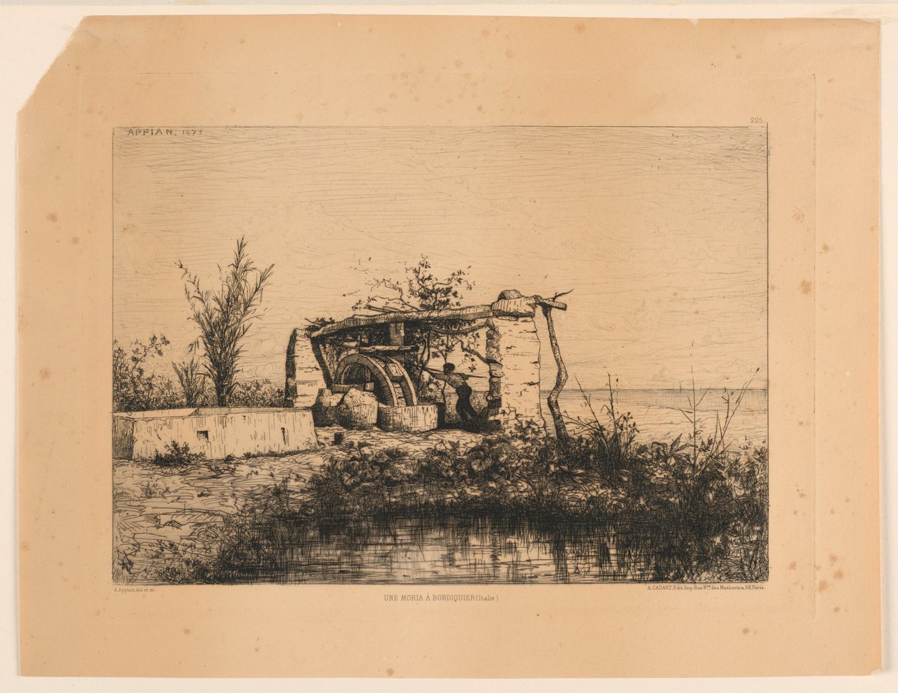 A Moria in Bordighera (Italy) by Adolphe Appian