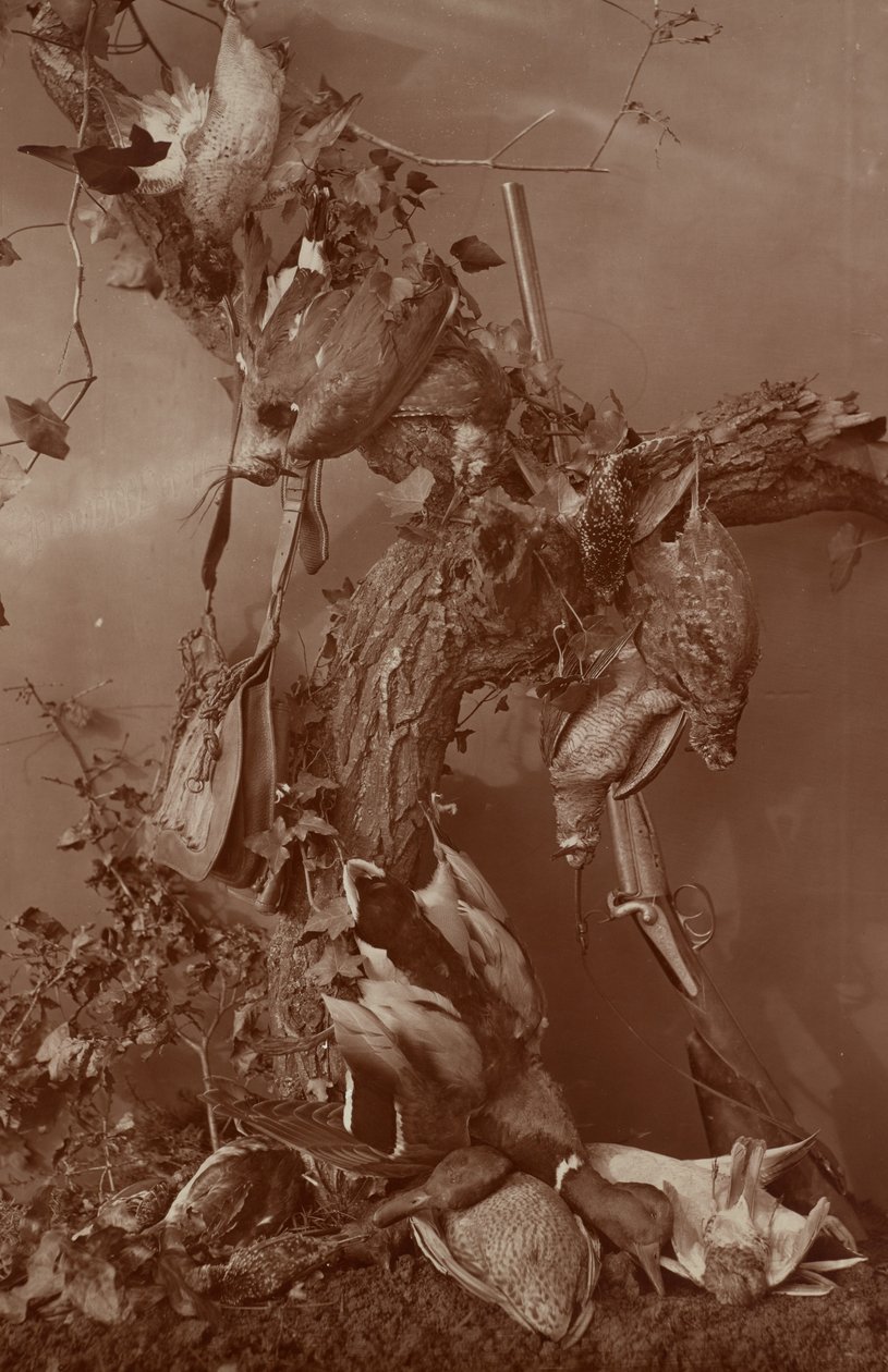 Still Life: Dead Game by Adolphe Braun