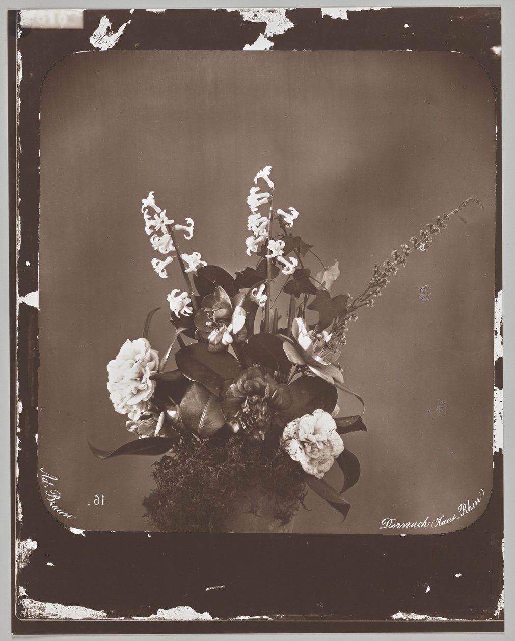 Untitled (flower arrangement) by Adolphe Braun