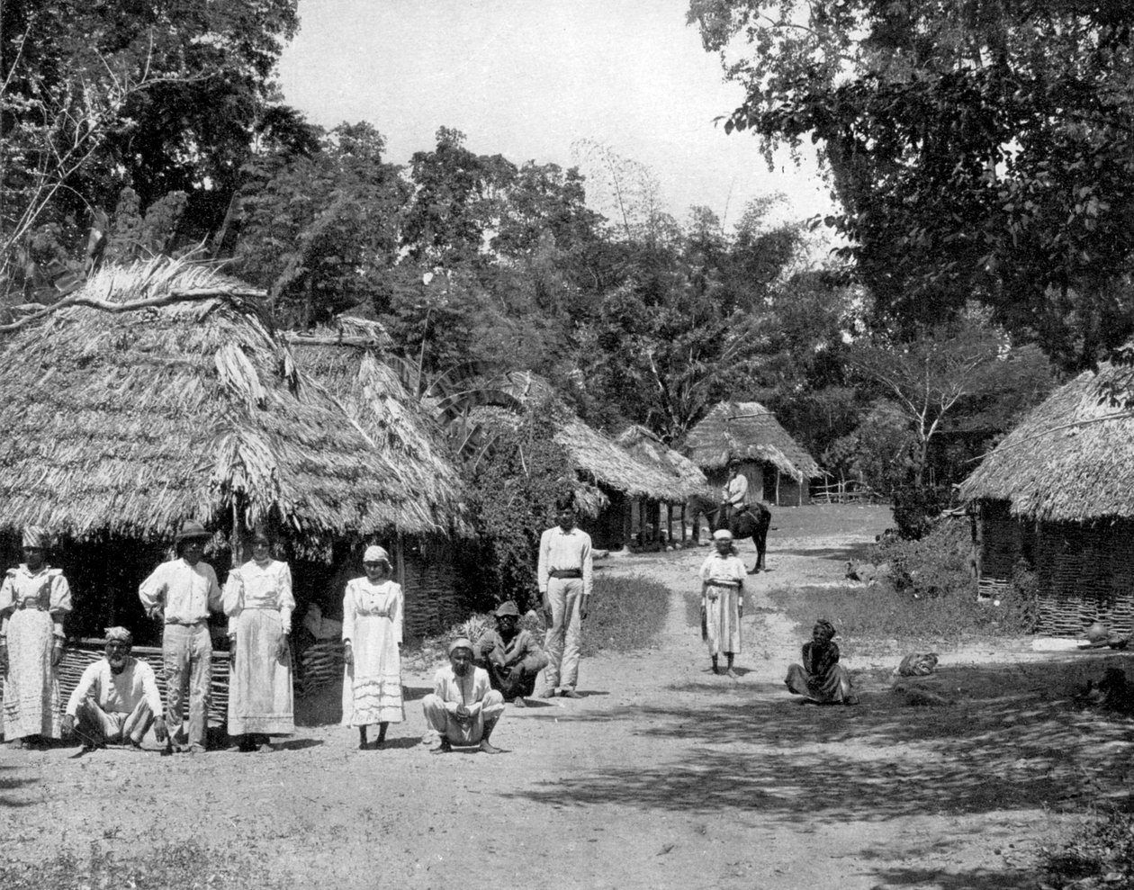 Native Huts, Jamaica, c1905 by Adolphe Duperly and Son