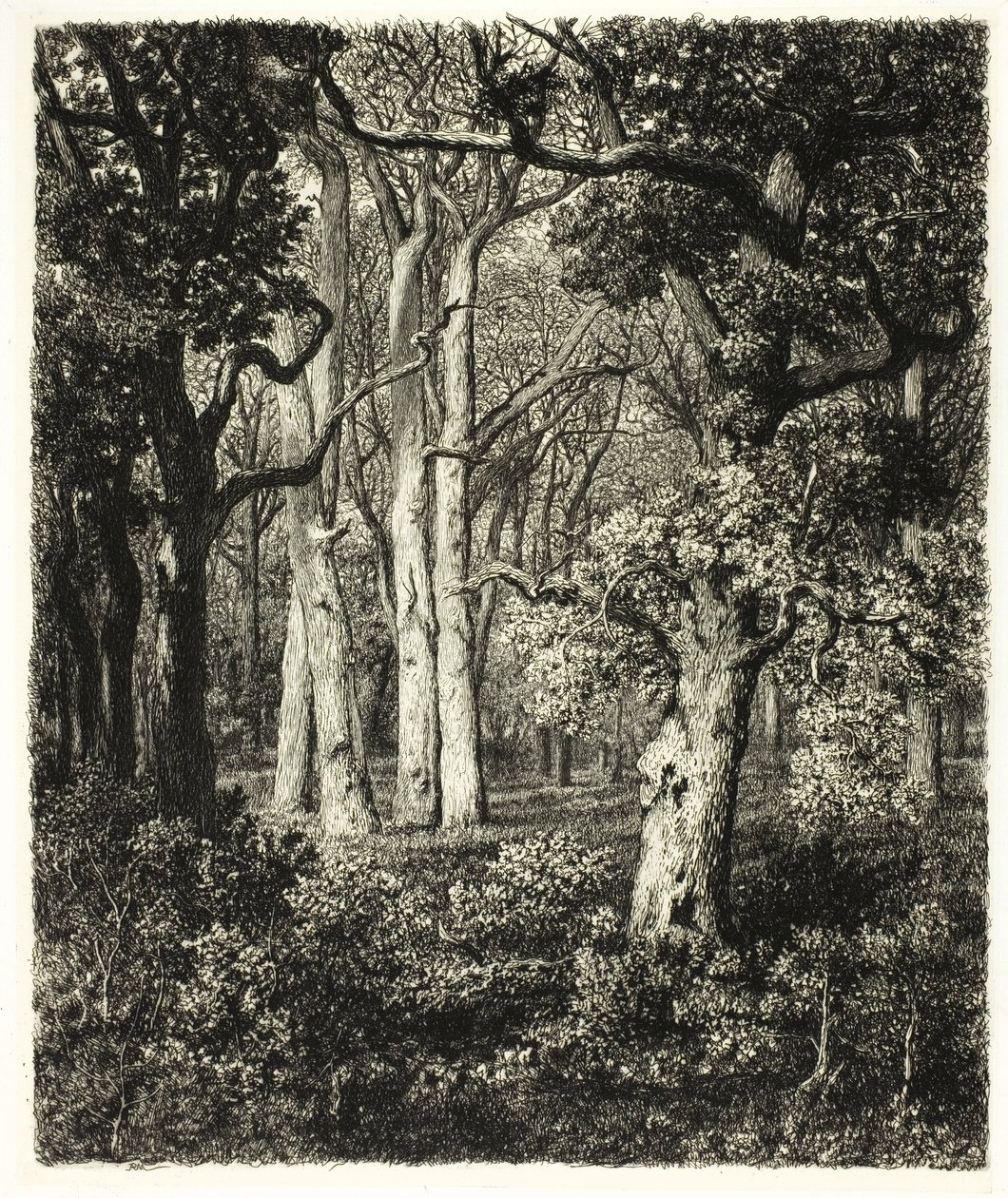 Old Oaks at Bas Bréau by Adolphe Martial Potemont