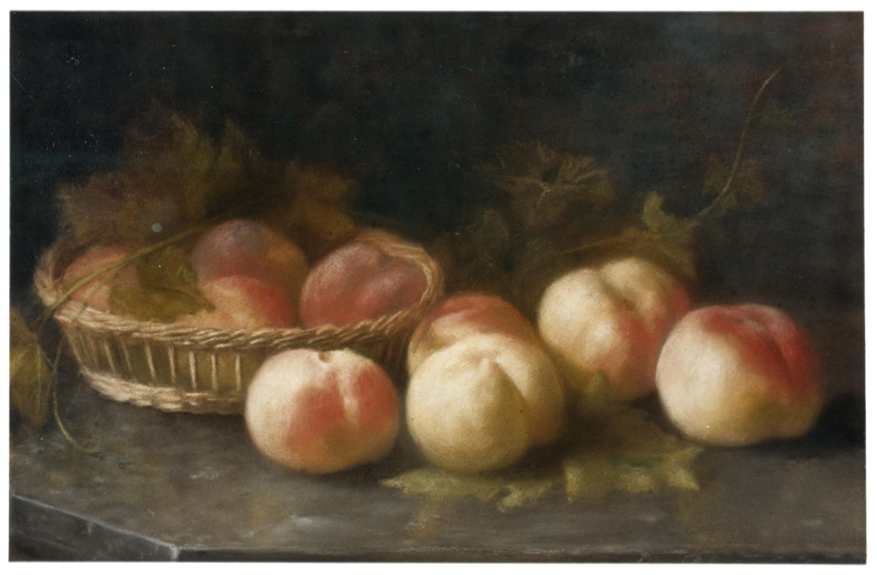 Peaches attributed by Adri Bleuland van Oordt