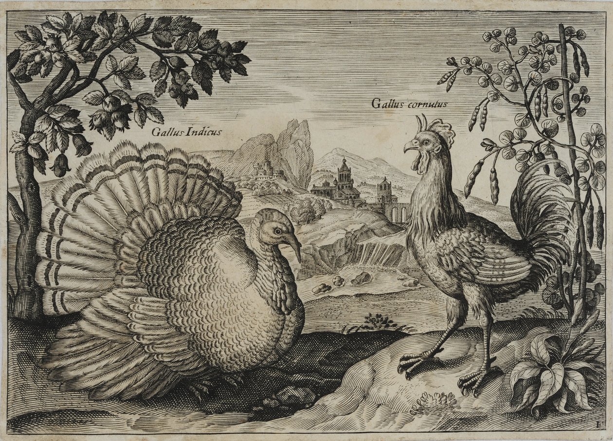 Old Master Engraving by Adriaen Collaert