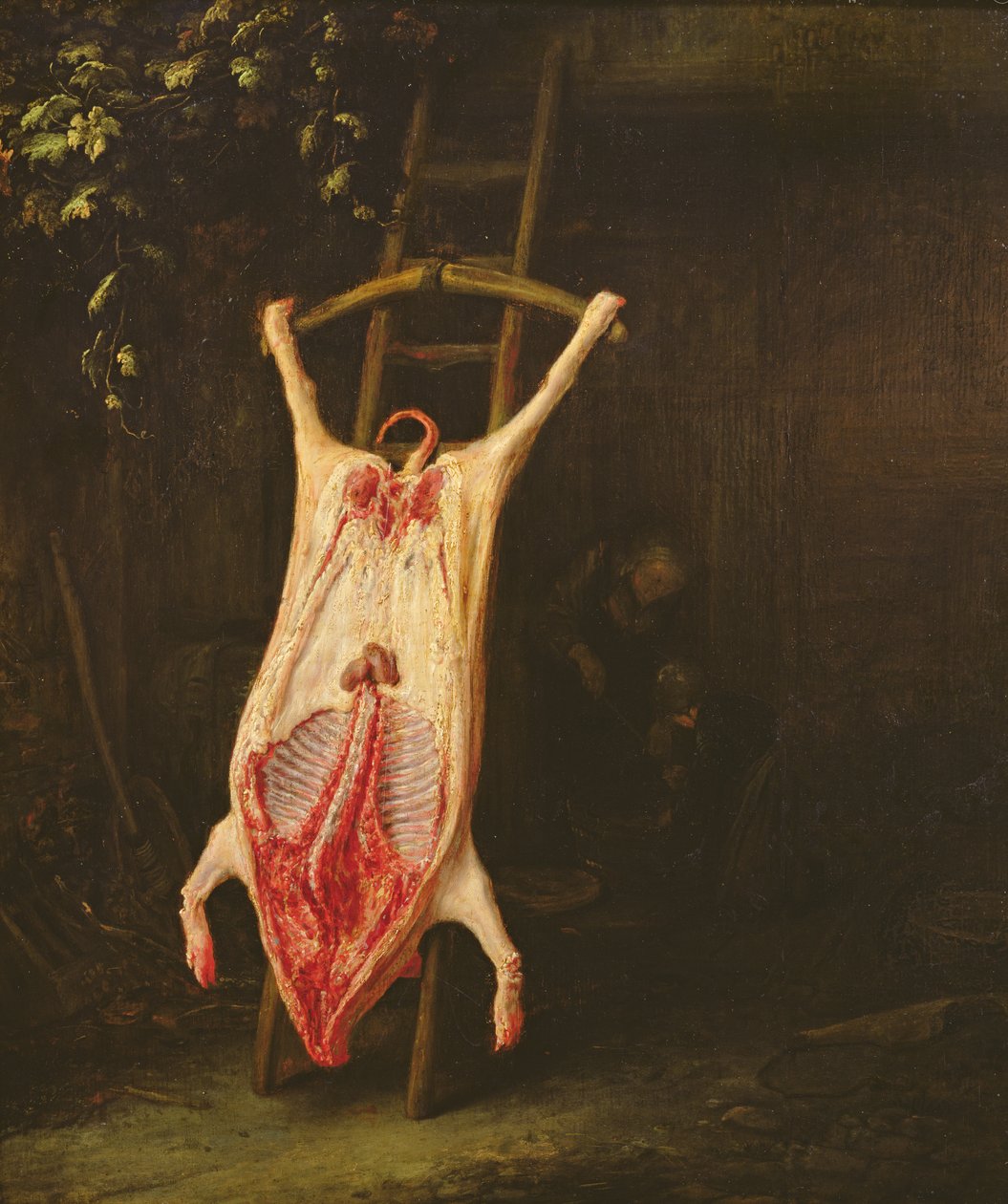 Flayed Pig by Adriaen Jansz. van Ostade