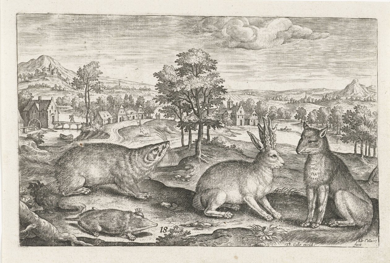 Forest Animals by Adriaen Collaert
