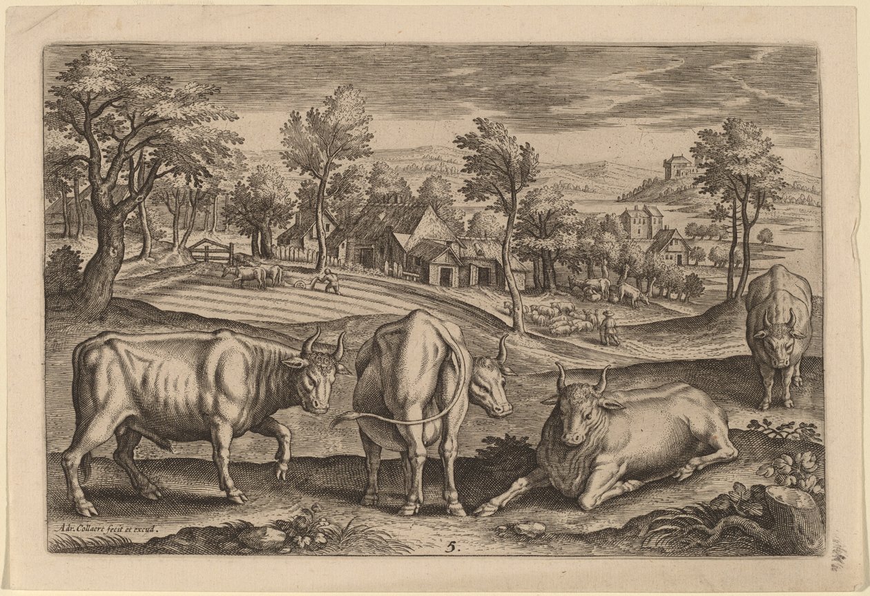 Four Bulls by Adriaen Collaert
