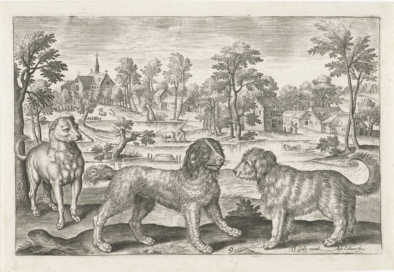 Dogs by Adriaen Collaert