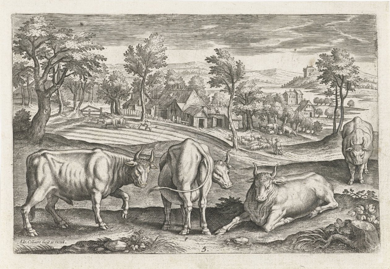 Cattle (Four-Legged Animals) by Adriaen Collaert