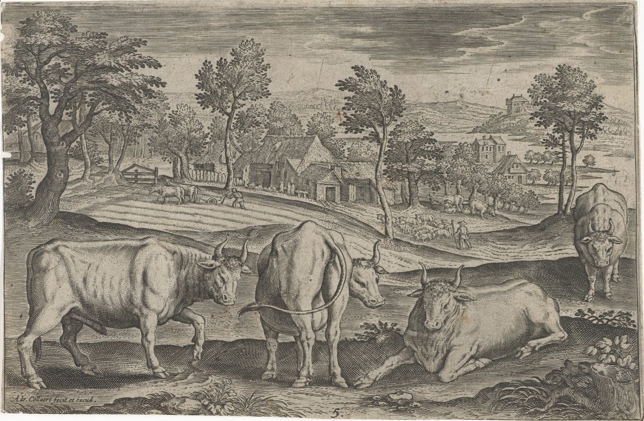 Cattle (Four-Legged Animals) by Adriaen Collaert