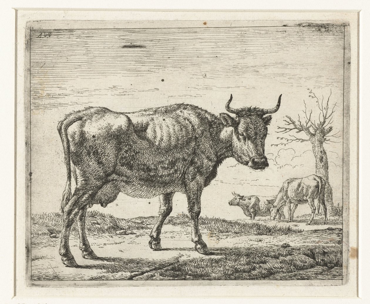 Three Cows by Adriaen van de Velde