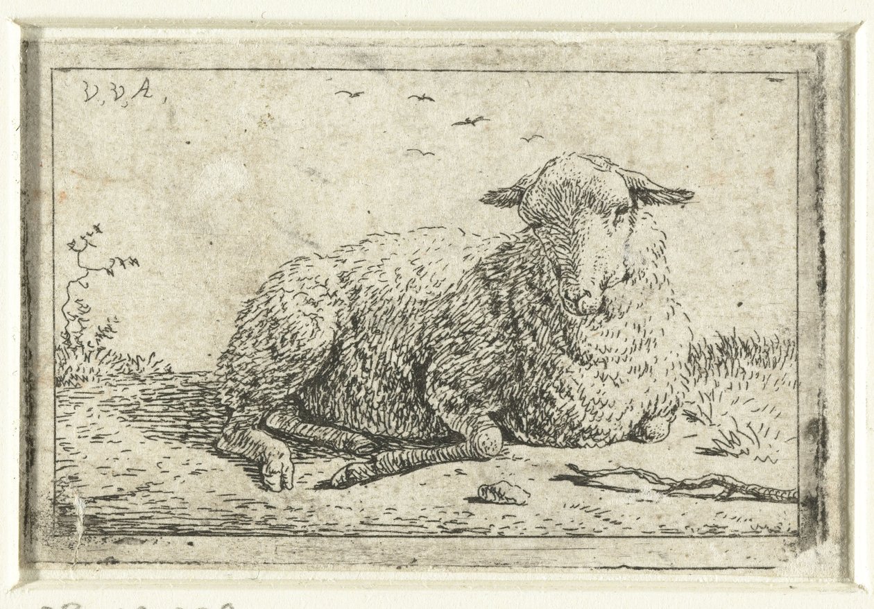 Lying sheep by Adriaen van de Velde