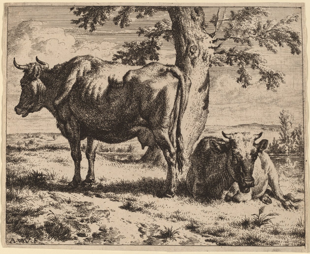 Two Cows under a Tree by Adriaen van de Velde