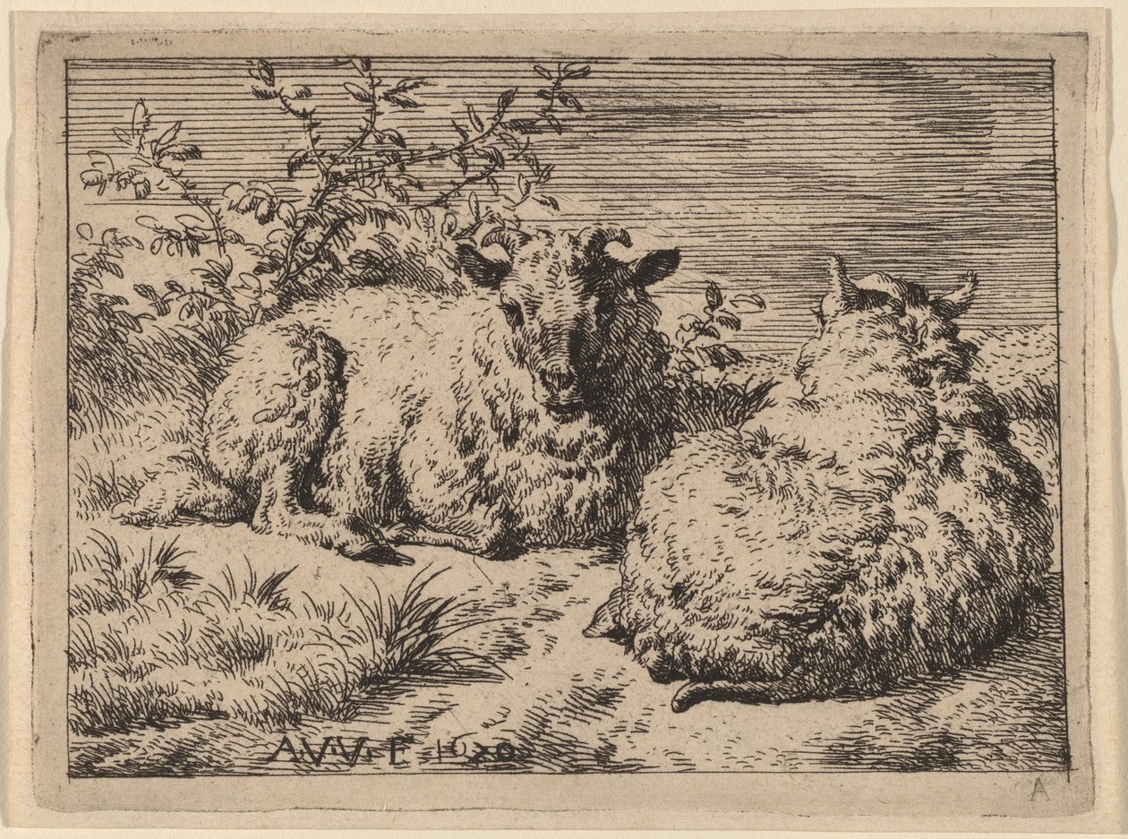 Two Recumbent Sheep by Adriaen van de Velde