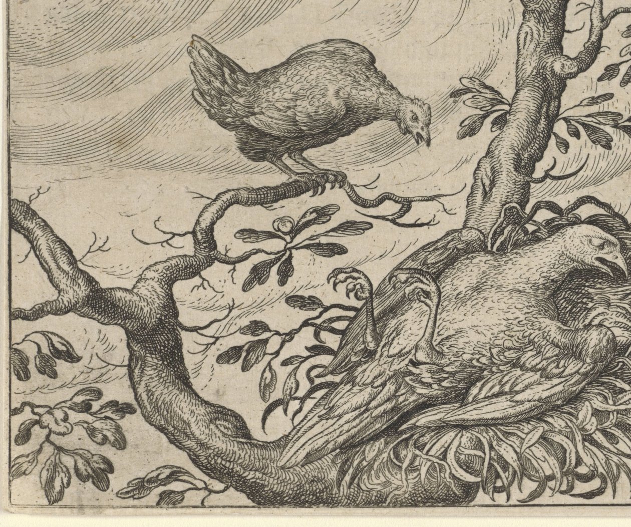Fable of the Sick Vulture by Egidius  Sadeler (II)